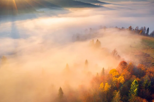 Lebendiges Morgensonnenlicht Tal Nebliger Herbstsonnenaufgang Den Bergen Szenische Herbstlandschaft Mit — Stockfoto