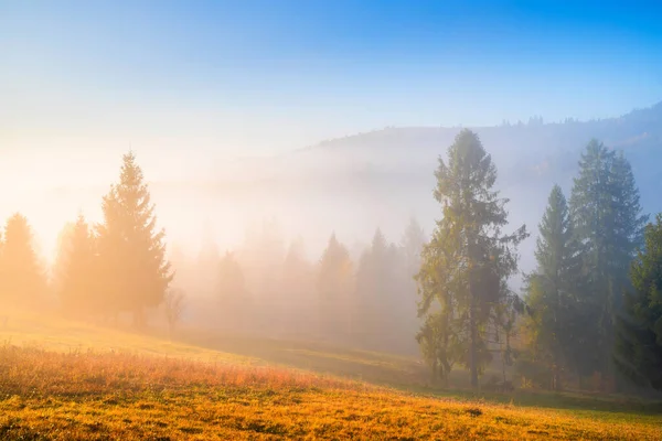 Scenic Herfst Landschap Bij Zonsopgang Bomen Berghellingen Mist Verlicht Met — Stockfoto