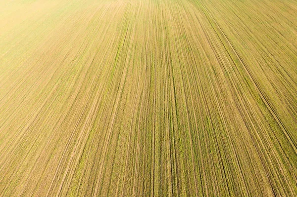 緑の春の農業分野の航空ビュー 春の背景 — ストック写真