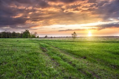 Sahada güzel yaz gün batımı. Pitoresk Rus doğa.