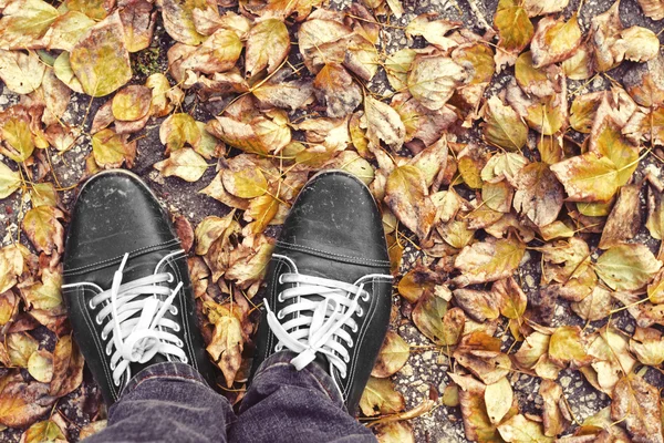 Feet Man walking on fall yellow leaves. Lifestyle, Fashion and trendy style. Advertising shoes. Autumn collection. Walk in autumn Park in rainy weather. Retro and vintage design.