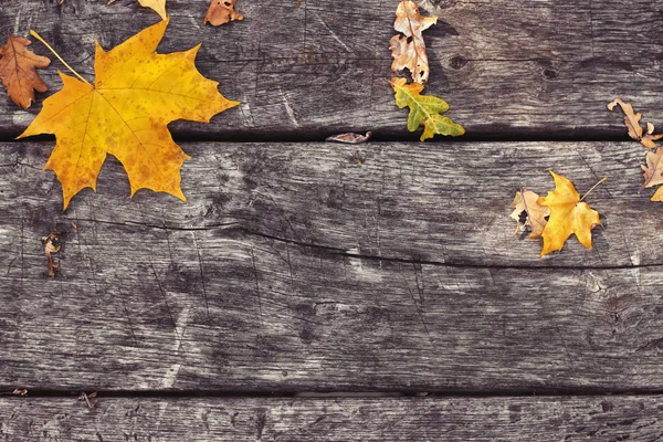 Folhas de bordo caídas na velha mesa de madeira. Fundo de outono. Conceito vintage. De volta à escola . — Fotografia de Stock