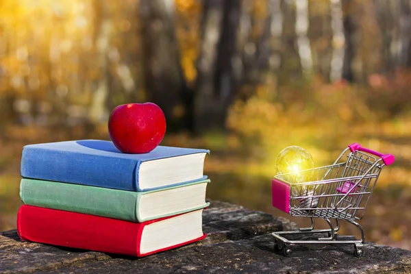 Halom színes könyvek és egy almát a régi fából készült asztal egy sötét erdőben naplementekor. Bevásárlókosár és villanykörte. Üzleti ötletek és reklám. Vissza az iskolába. Titokzatos kompozíció. — Stock Fotó