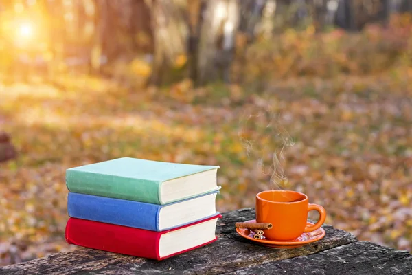 Bücherstapel und eine Tasse heißen Kaffee auf einem alten Holztisch im Wald bei Sonnenuntergang. zurück zur Schule. Bildungskonzept. schöner Herbsthintergrund. malerische Komposition. Wochenende im Park. — Stockfoto