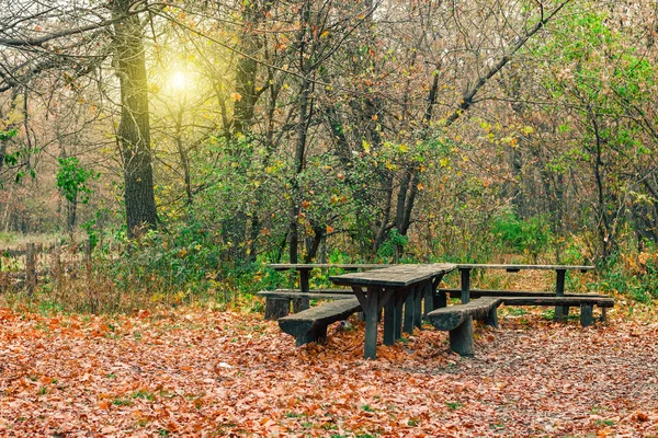 Geheimnisvoller Wald am Abend nach Regen. Tisch und Bank im Wald. malerische Herbstnatur. Auf Wiedersehen Herbst. kalte Novemberlandschaft. Zelten und Erholung. — Stockfoto