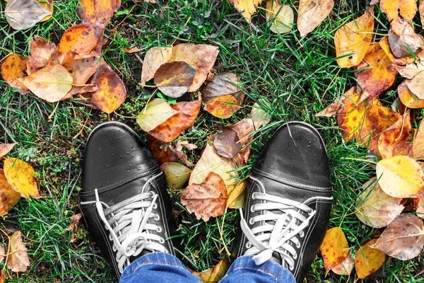Feet Man walking on fall yellow leaves. Lifestyle, Fashion and trendy style. Advertising shoes. Autumn collection. Walk in autumn Park in rainy weather. Retro and vintage design. Close up view.