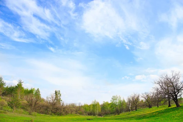 如画的风景，与绿草云和卷云在夏天阳光灿烂的日子 — 图库照片