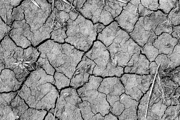 Dried cracked land. Drought and lack of moisture in the soil. Texture of the dead ground. The consequences of abnormal heat. The climate of the desert. Environmental disaster.