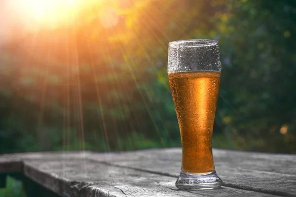 Verre de bière froide sur la table en bois dans les rayons du soleil à l'arrière-plan de la nature. Nature morte au coucher du soleil. Vacances et ambiance estivale . — Photo