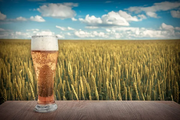 Glass of cold beer at sunset on the background of wheat field and blue sky. Summer landscape. Recreation and relax. Fresh brewed ale.