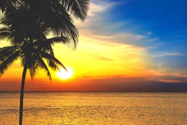 Palmiye ağaçları ve güzel denizde Tayland, Phuket günbatımı sırasında siluetleri.