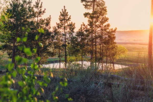夕阳西下的湖中 森林里一片绿油油的草地和戏剧性的云朵 俄罗斯自然风景秀丽的夏季风景 — 图库照片