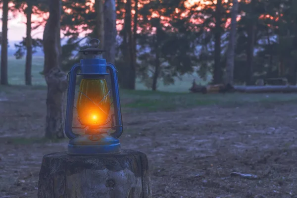 暗い森の切り株の上に灯油ランプ — ストック写真