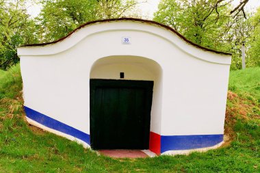 Geleneksel şarap mahzenleri - Plze, Petrov, Çek Cumhuriyeti, Avrupa. Şarap irfan ve folklor. Moravyalı şarap mahzenleri 