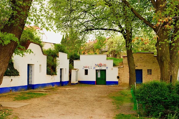 Caves de vinho tradicionais - Plze, Petrov, República Checa, Europa. Lore de vinho e folclore. Caves de vinho da Morávia — Fotografia de Stock