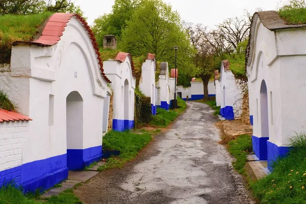 Caves de vinho tradicionais - Plze, Petrov, República Checa, Europa. Lore de vinho e folclore. Caves de vinho da Morávia — Fotografia de Stock