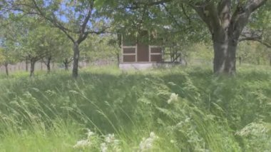 Köy Bahçe döken Bahçe ile görüntüleyin. Sinematik bakmak, 4k video.
