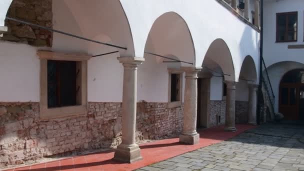 Maison historique avec colonnes pierreuses et ivies sur mur de briques . — Video