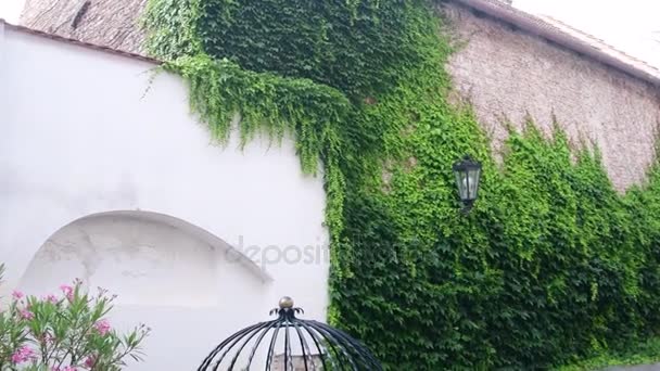 Historische binnenplaats. Historisch huis met prachtige bloemen en historische water goed. Klimop op de muur. — Stockvideo