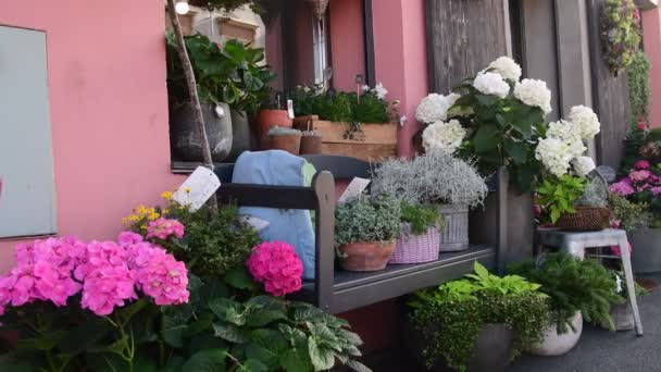 Ansicht des Blumengeschäfts. Außenansicht Floristen Geschäft, Floristen Dekoration auf der Straße. — Stockvideo