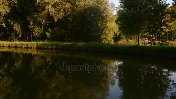 Panoramic view on country landscape. Country pond. Sunny afternoon. Audio footage clip. Sound of birds and insects — Stock Video