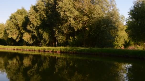 Vue panoramique sur le paysage champêtre. Un étang de campagne. Après-midi ensoleillé. Clip audio. Le son des oiseaux et des insectes 