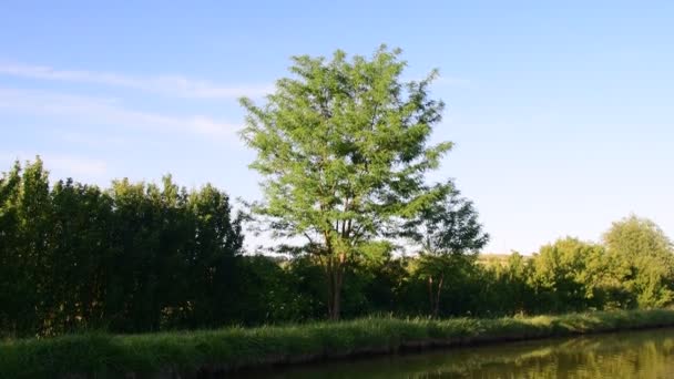 Panoraamanäkymät maaseudulle. Maalaislampi. Aurinkoista iltapäivää. Videomateriaaliliitin. Lintujen ja hyönteisten ääni — kuvapankkivideo