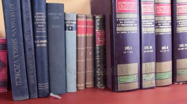 Kitaplar Vintage. Eski kitap ve antika daktilo satır görünümü. Czecch ve Almanca dil kitapları.