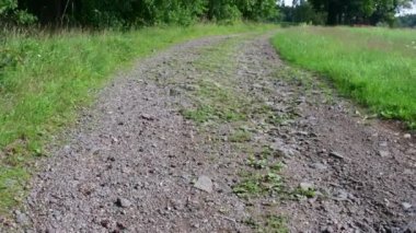 Pan görünümü Peyzaj ve ülke yolu