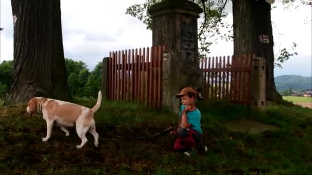 강아지와 어린이 산책 이동 합니다. 밖에 서 아이 들 — 비디오