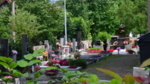 View of cemetery, graveyard, churchyard, burial ground — Stock Video