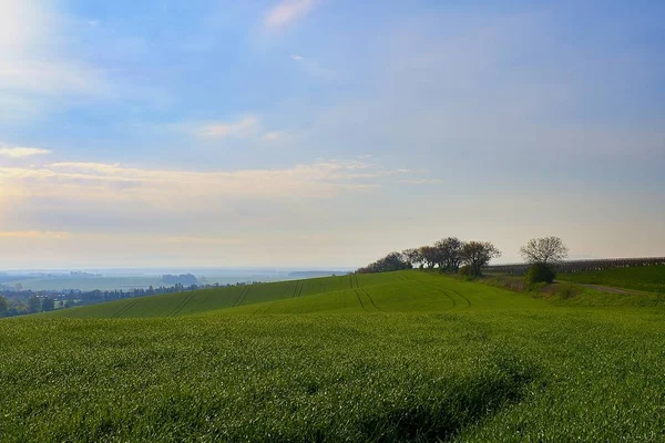 Manhã na paisagem da primavera. Toscana da Morávia, sul da Morávia, República Checa, Europa . — Fotografia de Stock