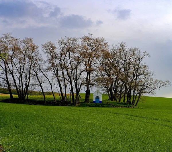 春天的风景。在风景中的教堂。摩拉维亚托斯卡纳, 南摩拉维亚, 捷克共和国, 欧洲. — 图库照片