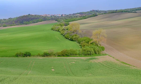 モラヴィアのローリング風景。春の風景。モラヴィアトスカーナ, 南モラヴィア州, チェコ共和国, ヨーロッパ. — ストック写真