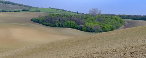 Moravian rolling landscape. Spring landscape. Moravian Tuscany, south Moravia, Czech Republic, Europe. — Stock Photo, Image