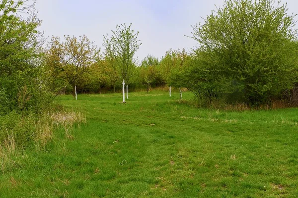 Moravya manzarasının arka planı. Baharda peyzaj. Moravian Tuscany, South Moravia, Çek Cumhuriyeti, Avrupa.