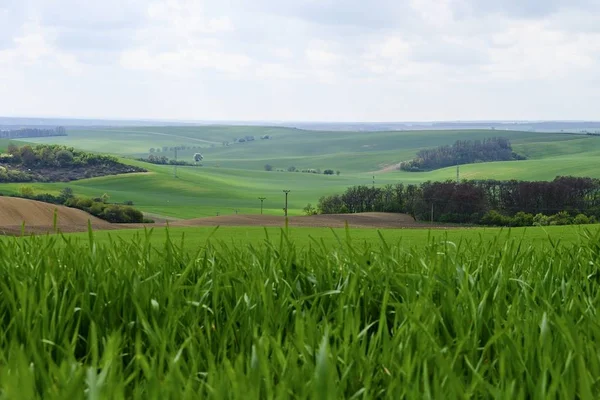 Wavy spring fields in South Moravia. Moravian Tuscany, South Moravia, Czech Republic. — Stock Photo, Image