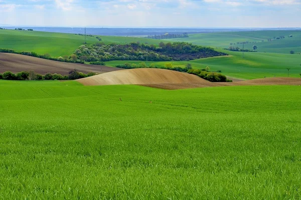 Campos de primavera ondulados na Morávia do Sul. Morávia Toscana, Morávia do Sul, República Checa . — Fotografia de Stock