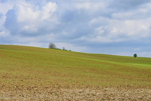 Paesaggio primaverile da favola. Moravia Toscana, Moravia meridionale, Repubblica Ceca Europa . — Foto Stock