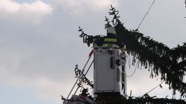 Afbeelding toont brandweerlieden hechten de fairy lampjes op grote openlucht kerstboom. — Stockvideo