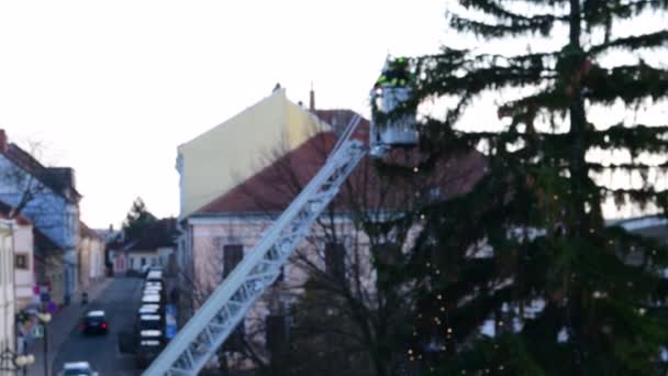 Imagem mostra bombeiros anexar as luzes de fadas em grande árvore de Natal ao ar livre . — Vídeo de Stock