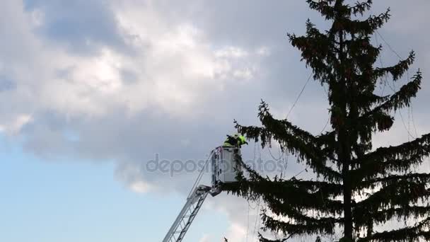 La imagen muestra a los bomberos fijar las luces de hadas en el gran árbol de Navidad al aire libre . — Vídeos de Stock