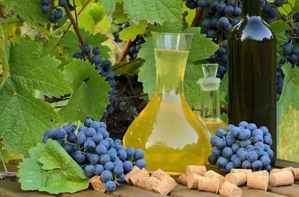 Hausgemachter Weiß- und Rotwein aus Trauben. Karaffen, Flaschen, Korken und Trauben vor dem Hintergrund der Rebe fotografiert. — Stockfoto