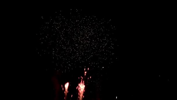 Spettacolo pirotecnico. Fuochi d'artificio 4K di notte . — Video Stock