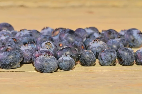 Áfonya, fehér fa háttér. Fekete áfonya, fekete áfonya, huckleberries, whortleberries. Közeli kép: — Stock Fotó