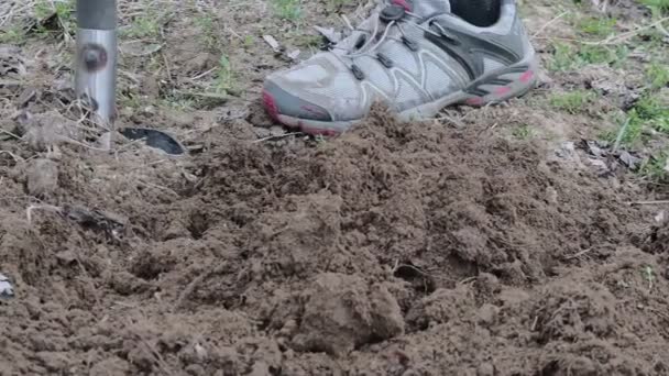 Frau gräbt mit Gartengabel Erde um. Garten- und Hobbykonzept. Gartenarbeit im Frühling — Stockvideo