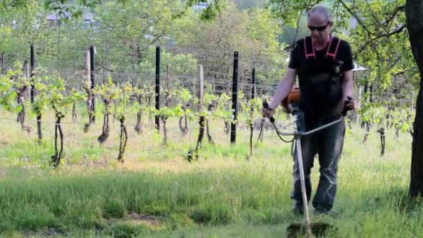 Midle aged man using a brush cutter. Mature man in the garden. Gardening concept — Stock Video