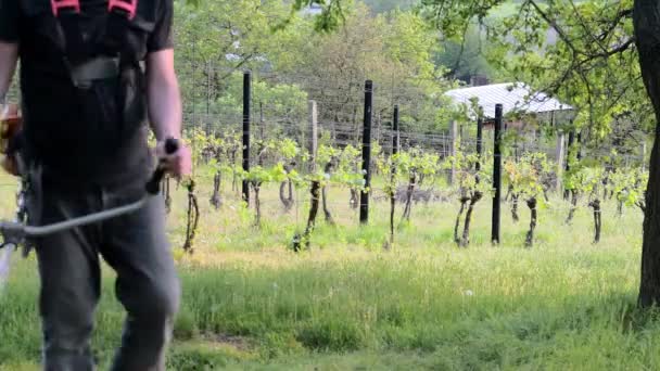 Midle aged man using a brush cutter. Mature man in the garden. Gardening concept — Stock Video