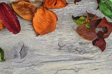Klasik beyaz arka planda kuru çiçekler, yapraklar ve taç yaprakları. Renkli arkaplan resmi. Üst Manzara. Düz yatıyordu. Uzayı kopyala Sanat konsepti. Soyut dokular. Moda rengi.