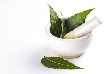 Harç ve havaneli ile tıbbi neem bırakır beyaz arka plan üzerinde